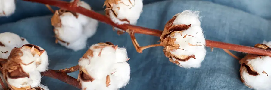 Cirt Tipos de Estopas Fabricadas pela Empresa